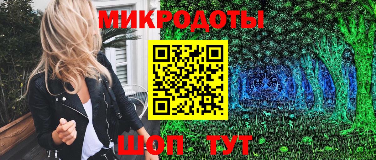 Псилоцибиновые грибы Psilocybine cubensis Усть-Илимск